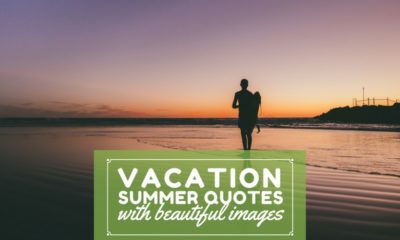 Best Short Summer Quotes