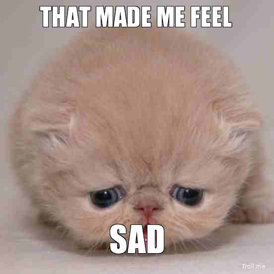 1527883726 459 20 Sad Cat Memes That Are Way Too Adorable