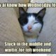 1527912900 781 15 Really Funny Wednesday Memes To Get You Through The Week