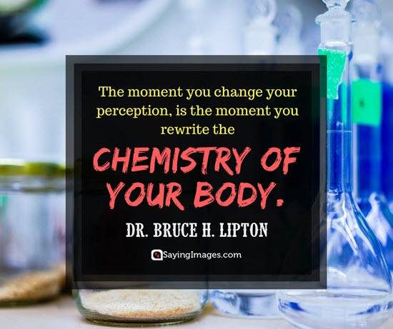 dr bruce lipton perspective quotes