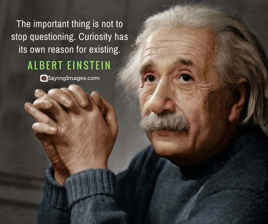 20 Curiosity Quotes That’ll Inspire You to Never Stop Questioning ...