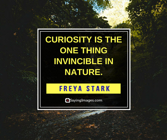 freya stark curiosity quotes
