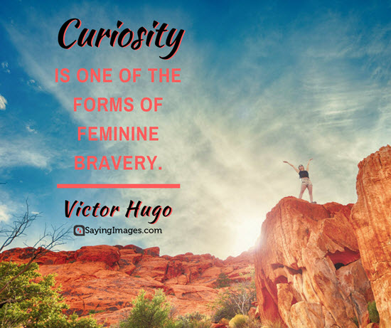 victor hugo curiosity quotes