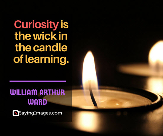 william arthur ward curiosity quotes