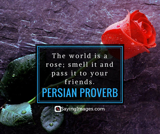 roses persian proverb quotes