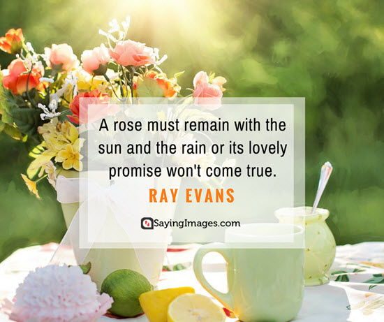 roses ray evans quotes