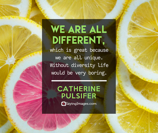 catherine pulsifer diversity quotes