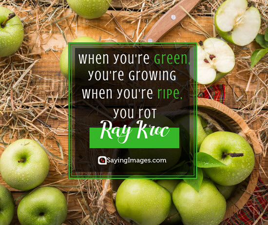 ray kroc growing quotes