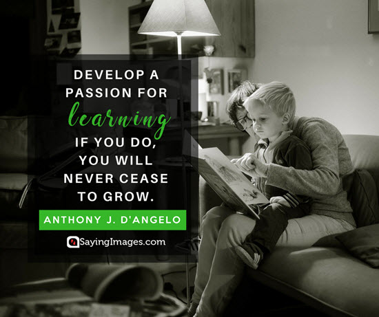 anthony d angelo growing quotes